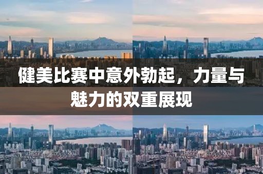 窈窕淑女 第14页