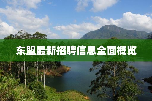 东盟最新招聘信息全面概览