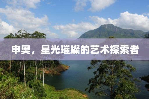 申奥，星光璀璨的艺术探索者