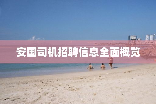 安国司机招聘信息全面概览