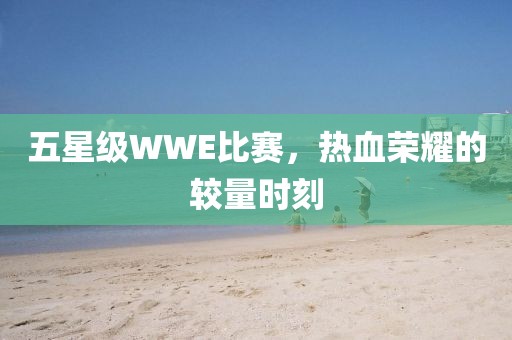 五星级WWE比赛，热血荣耀的较量时刻
