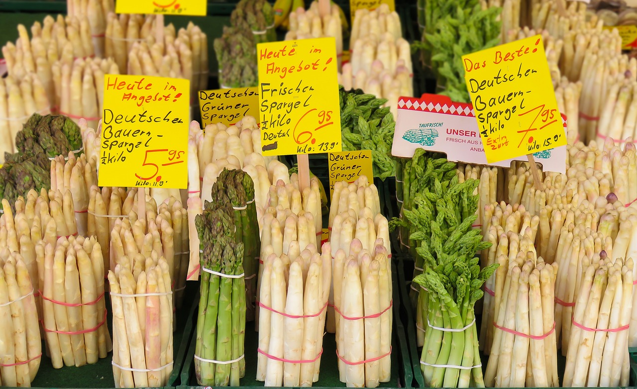 薤白市场行情深度解析及走势展望