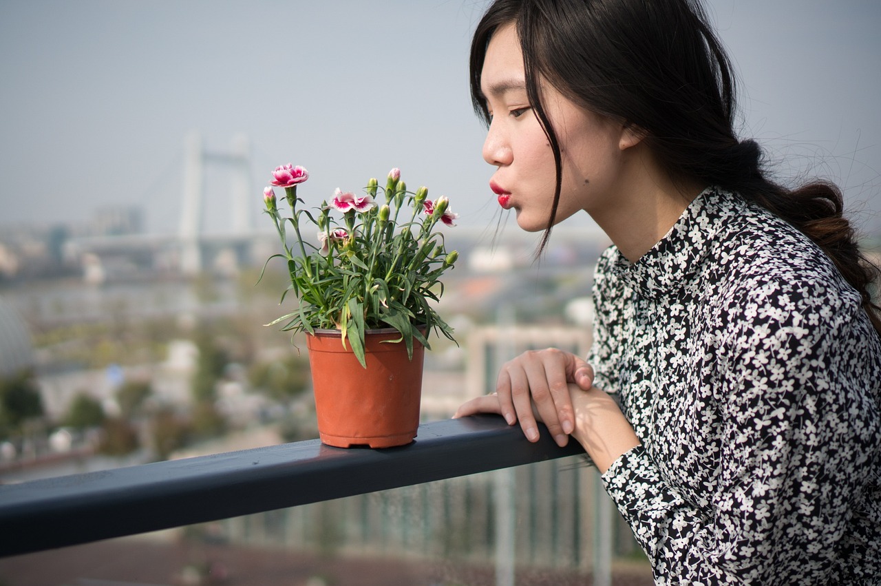 女明星95，闪耀之星的光芒与成长之路。