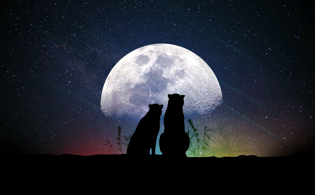 奇幻爱情电影的魅力探索与深度解读