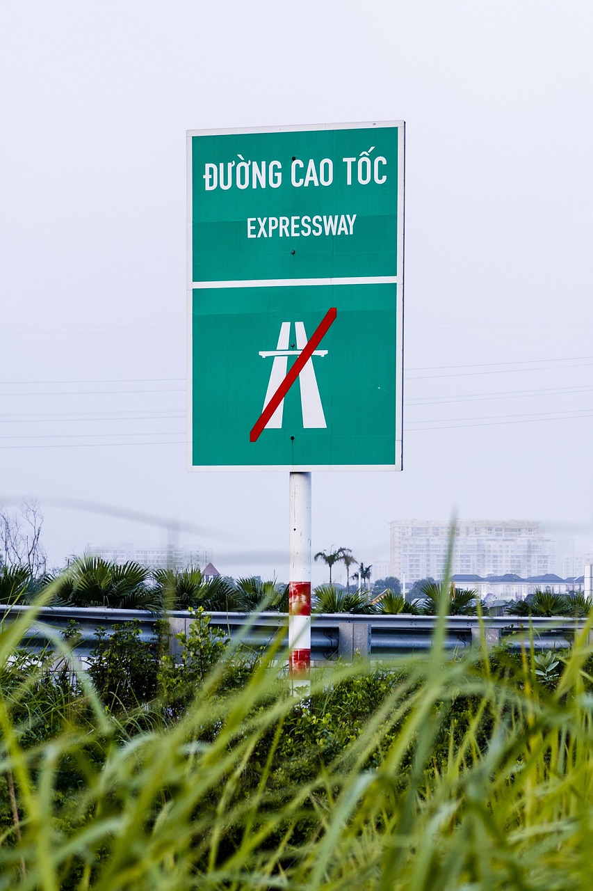 南沙叠翠峰最新动态，城市绿肺更新资讯速递