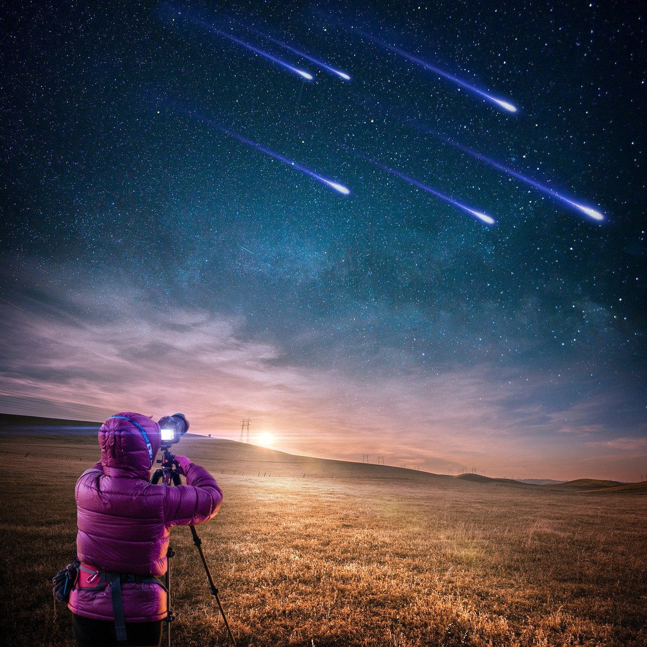明星宠物，星光熠熠下的特殊伙伴