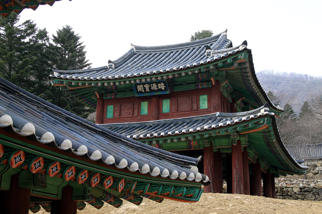 安阳车祸最新动态，事故原因调查与救援进展实录