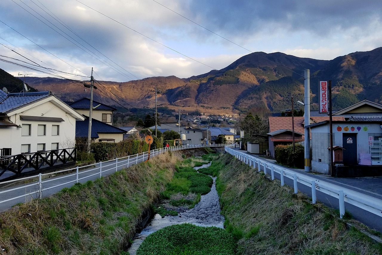 蔡市镇旅游村焕发新活力，最新进展与乡村之旅的蜕变