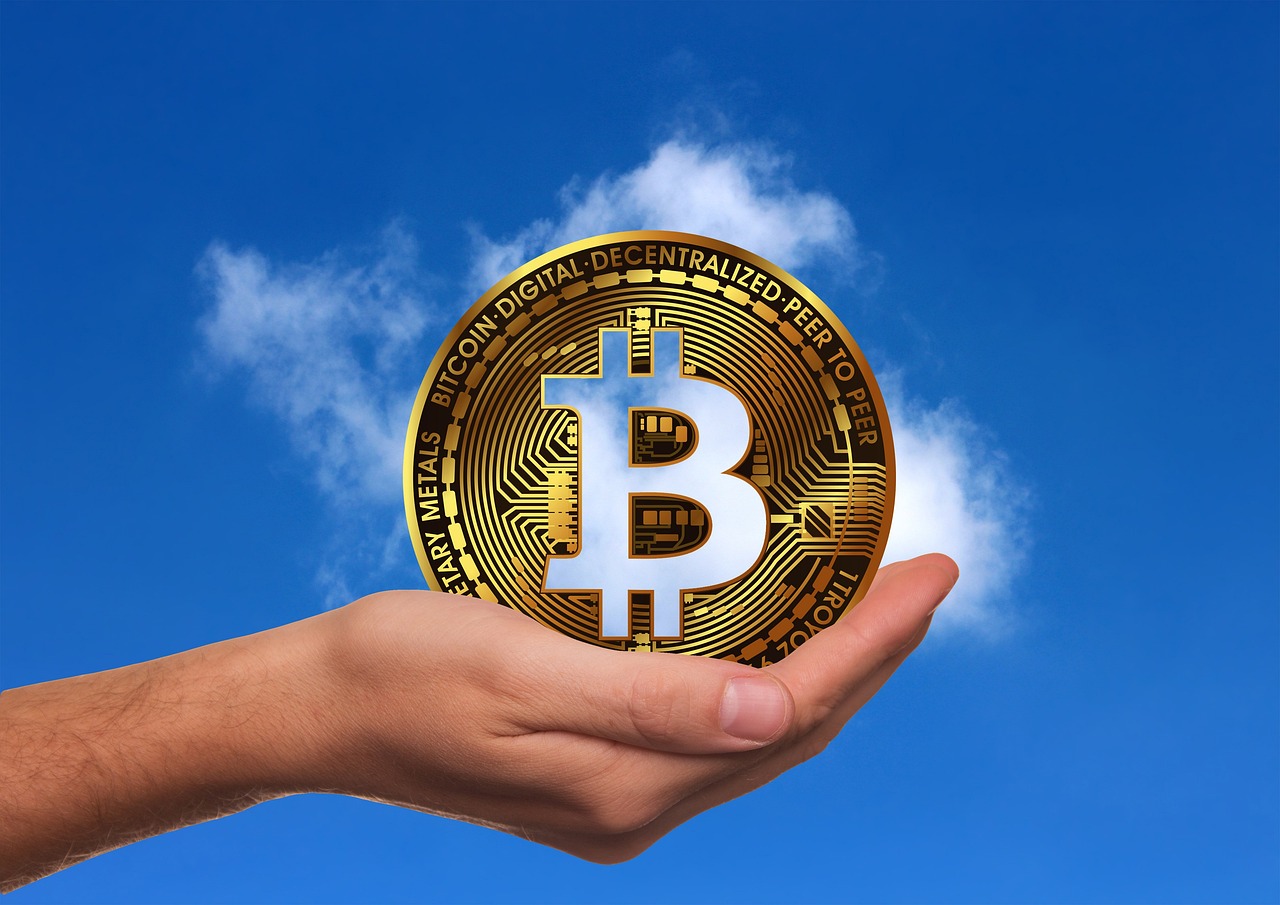 干香菇价格行情解析与趋势分析