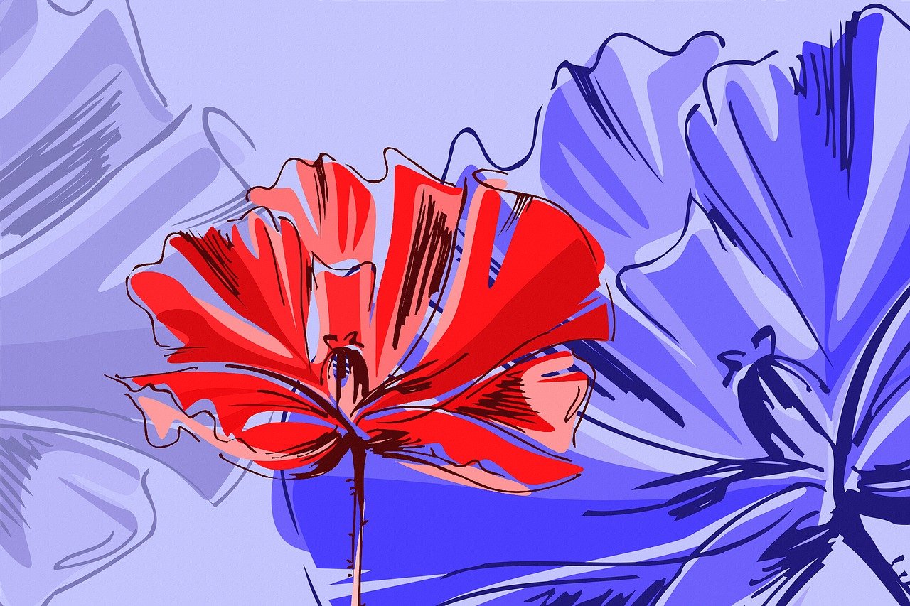 安徽最新资讯概览,最新动态与资讯汇总