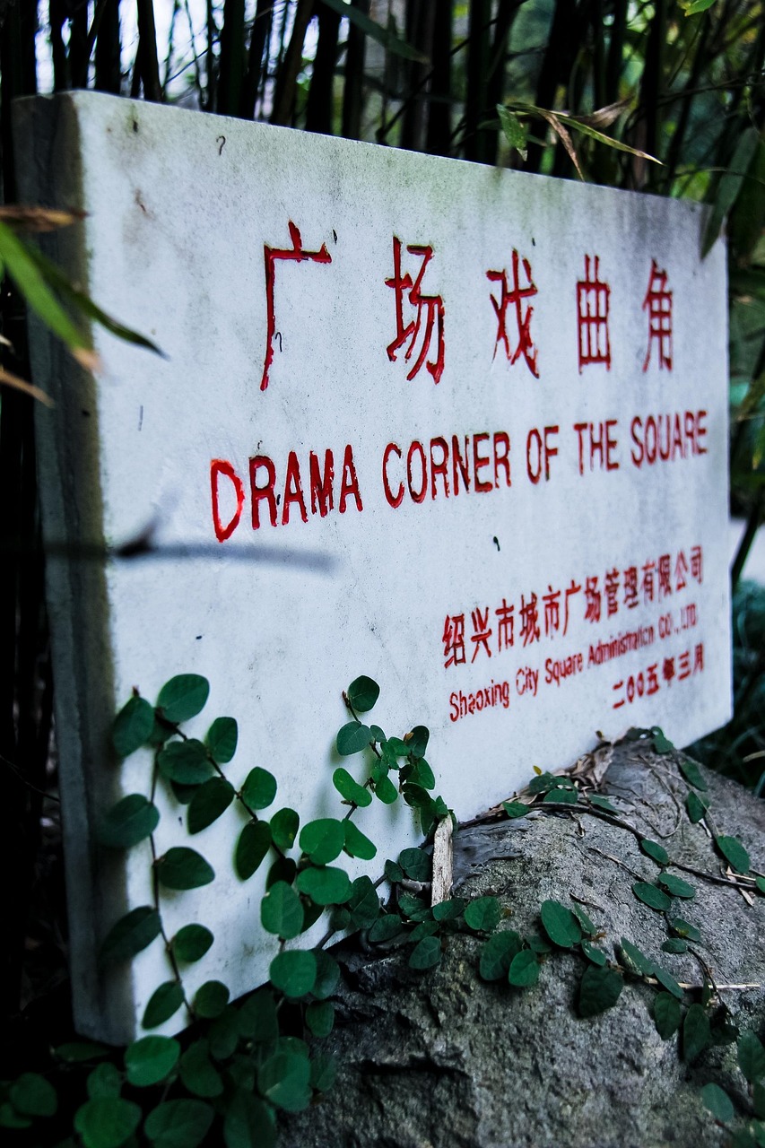 水岸新巢动态资讯，捕捉城市绿色发展的脉搏