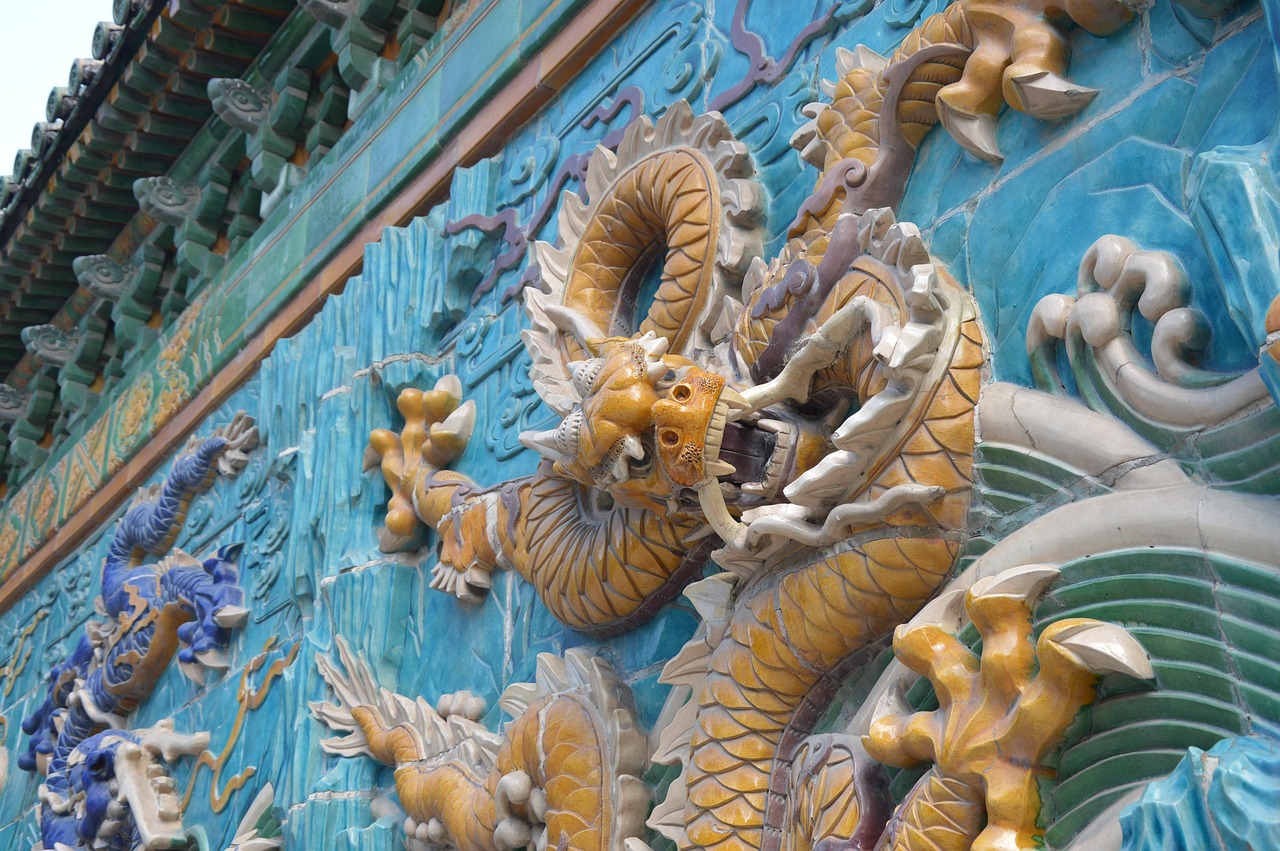 龙狼传最新篇章，历史与奇幻的完美交融