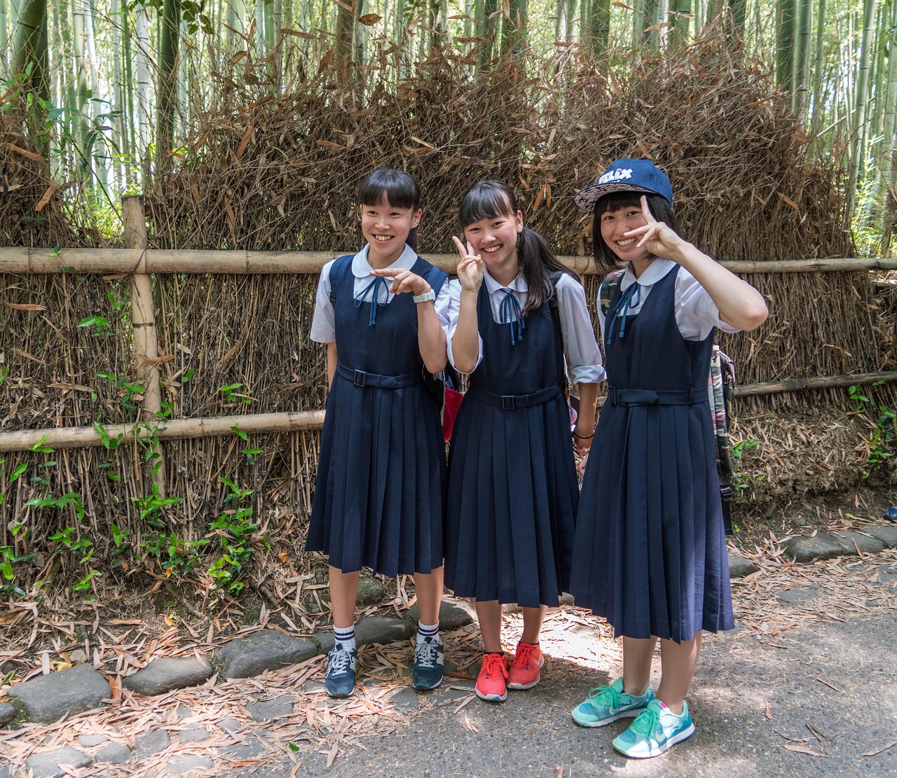 新世界动漫，探索与启示之旅