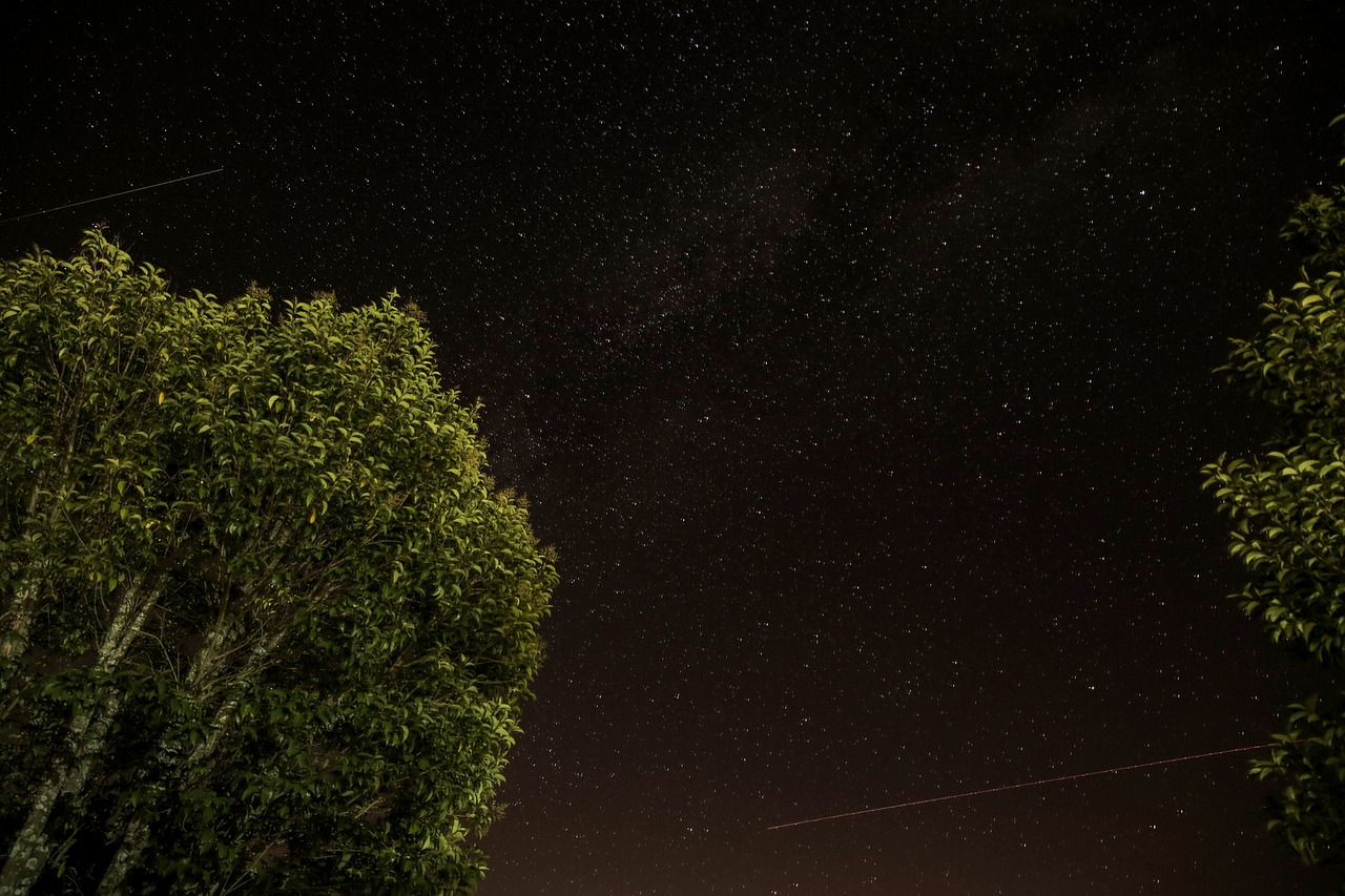 黑星女新动态，闪耀星辰的无限魅力之旅