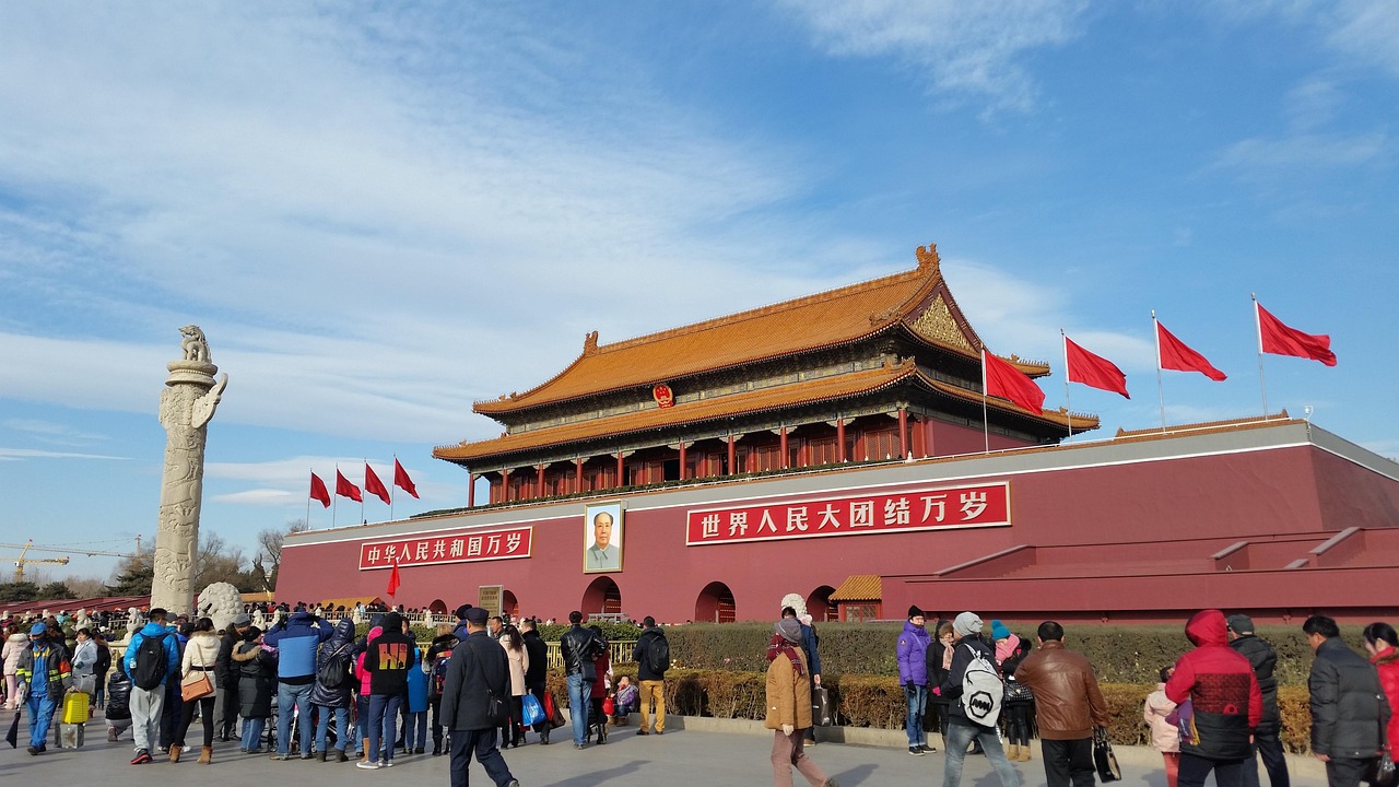 中国女排与荷兰女排的巅峰对决，一场精彩绝伦的排球盛宴