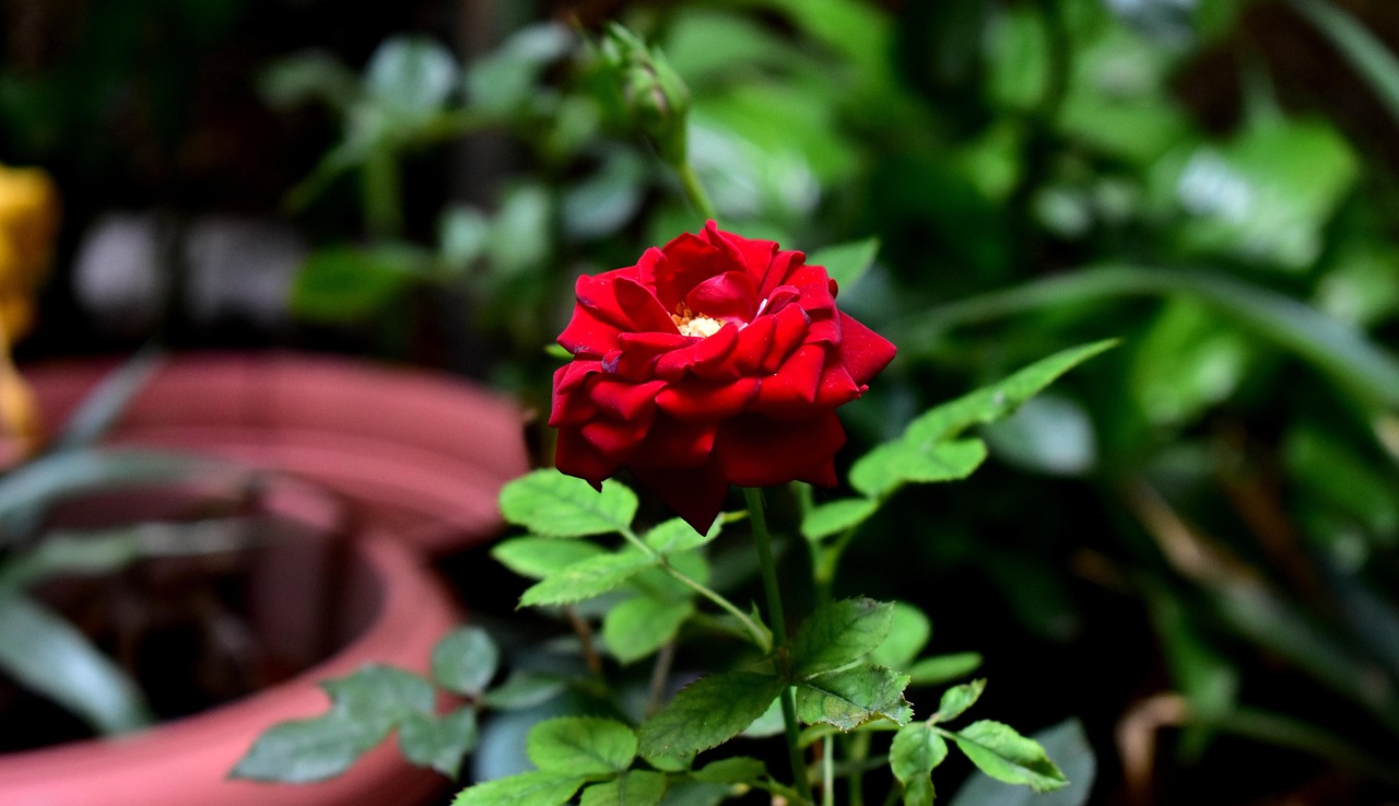 河北雄安新区蓬勃发展,未来之城的最新动态