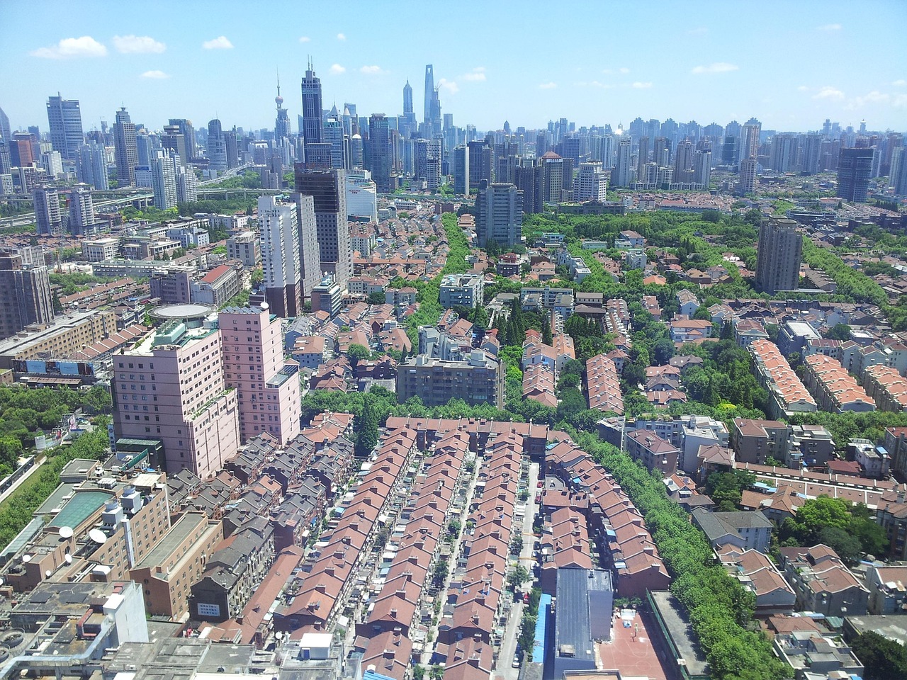 最新香料价格动态及其对市场影响分析