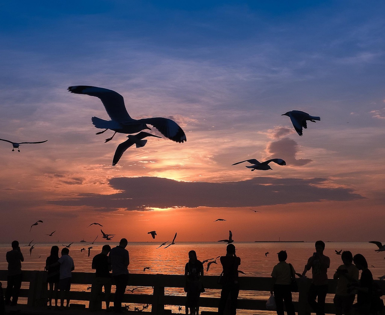 最新疫情速报更新,实时掌握疫情动态