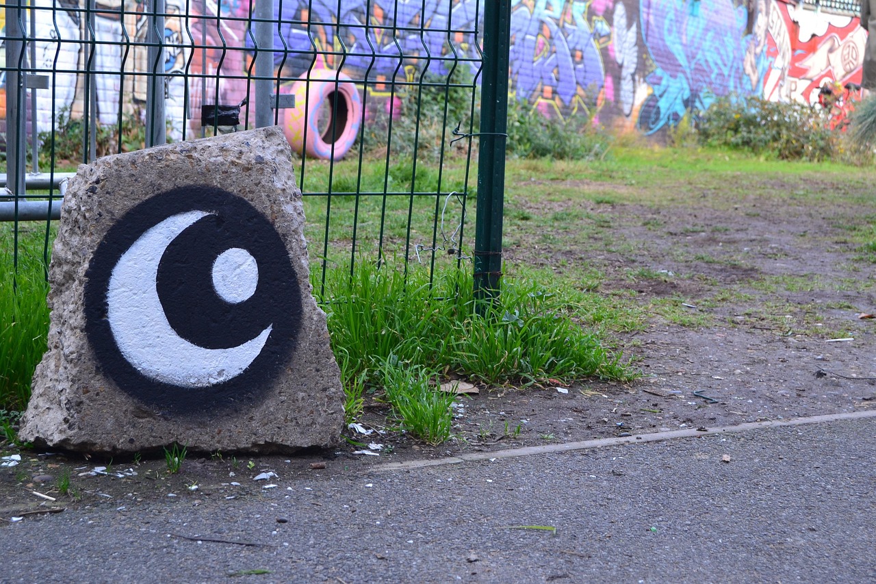 最新画猪艺术,探索与创新之路