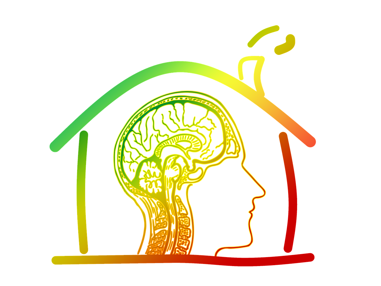 最新画猪艺术,探索与创新之路