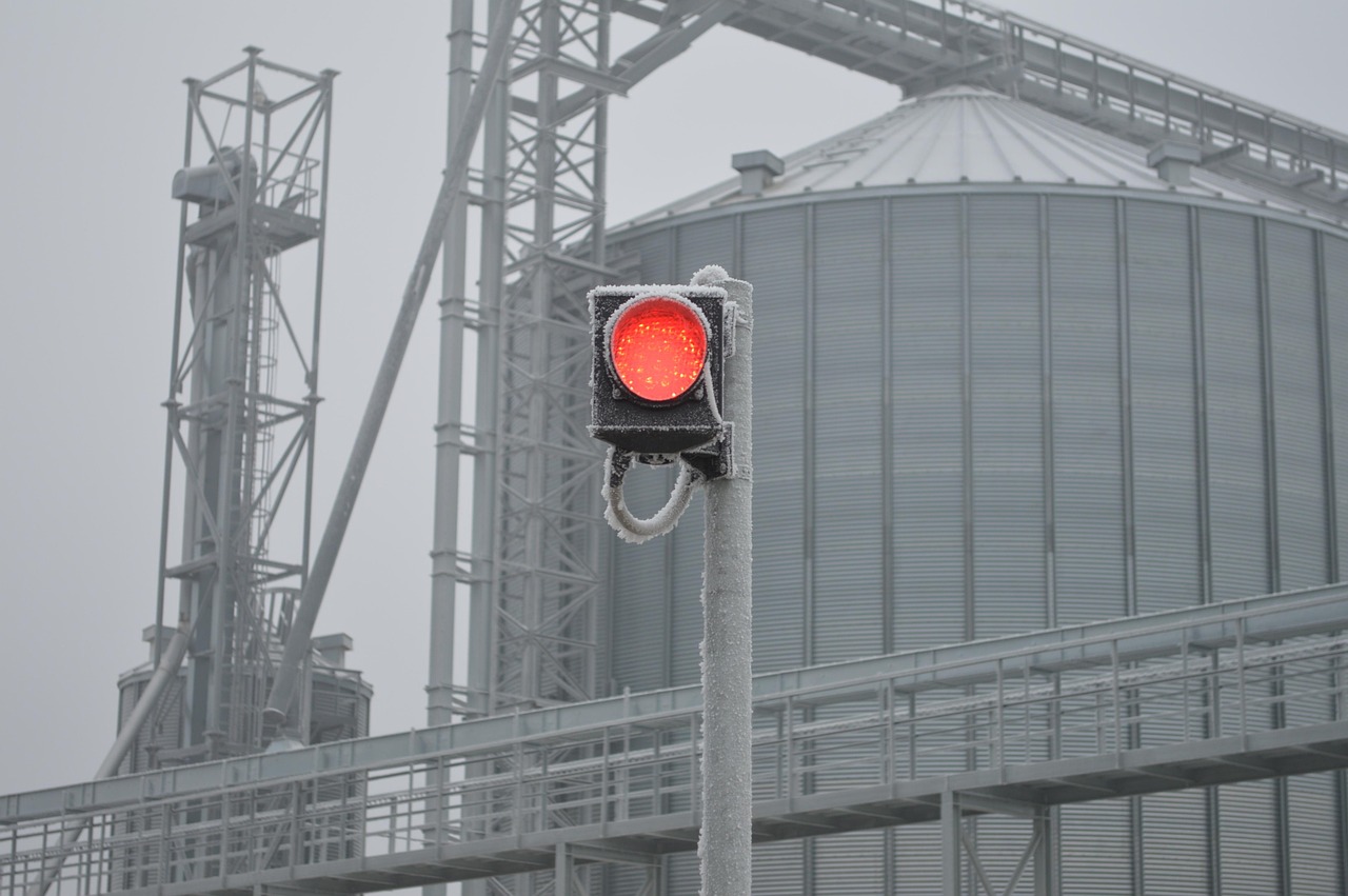 最新养猪动态,行业变革与技术创新的深度融合