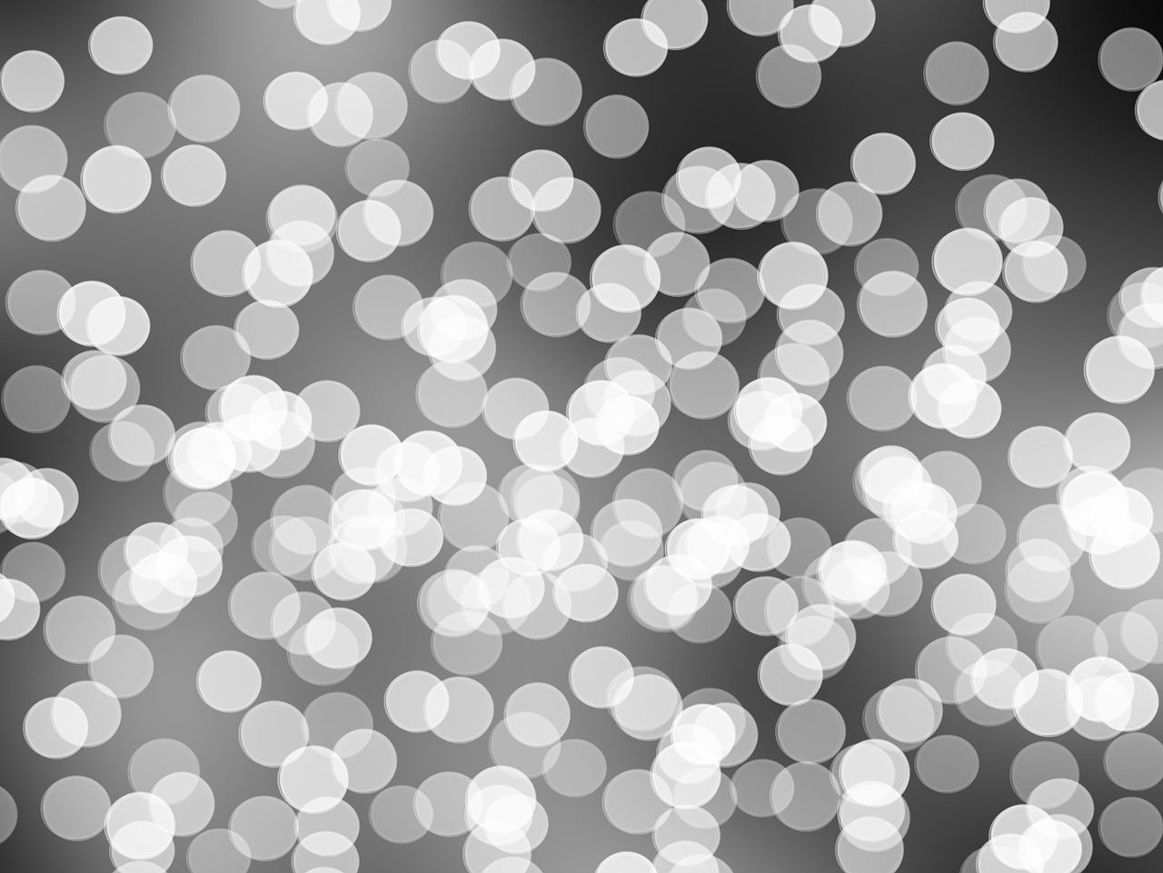 香港最新入境资讯详解,最新动态与要点解析