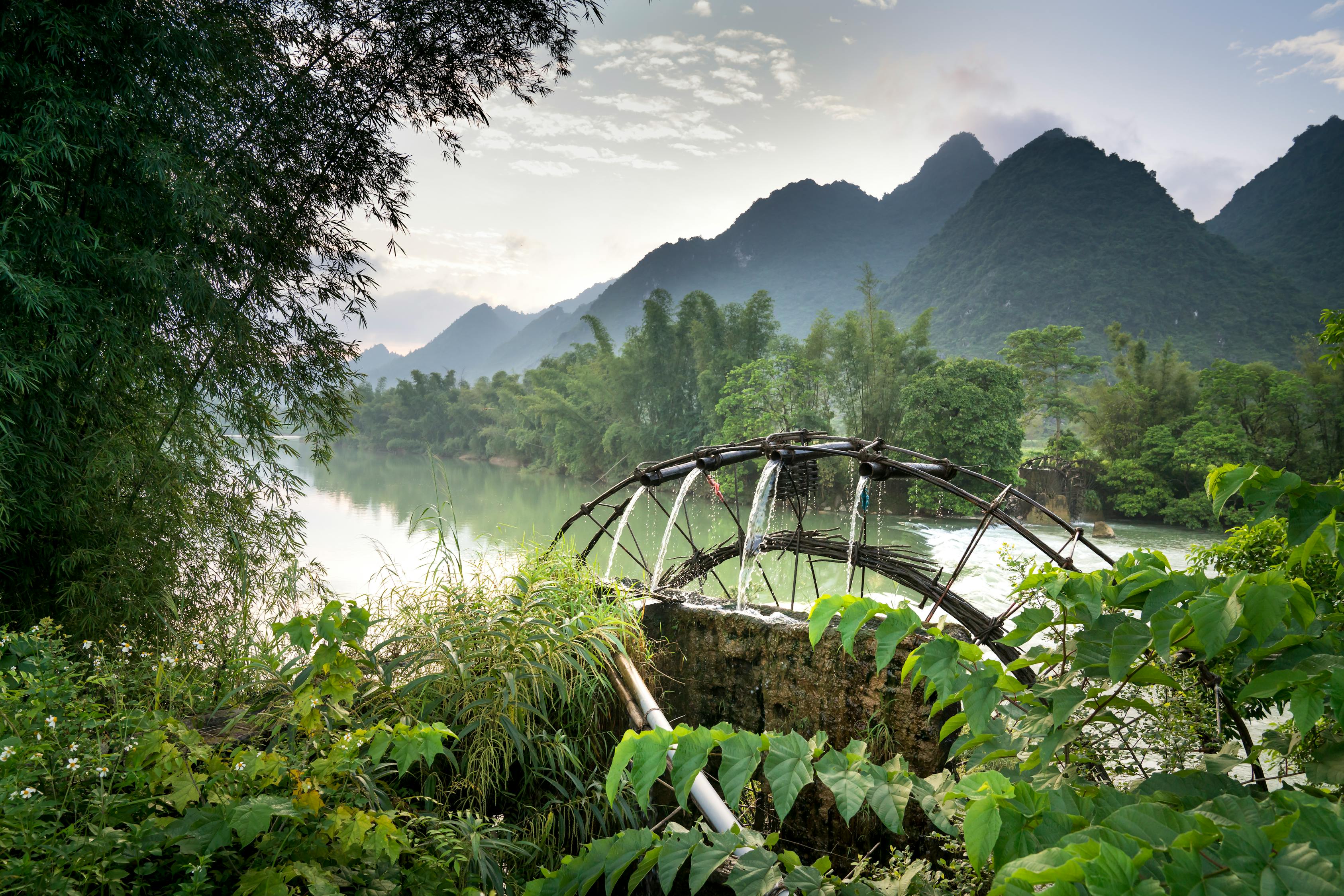 中信山语湖业主论坛,社区发展、生活品质与环境维护的多元探讨热议