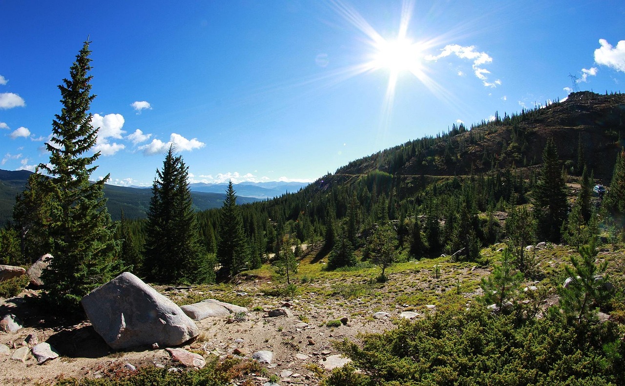 阜新钟点工招聘信息更新,最新招聘动态及其解读