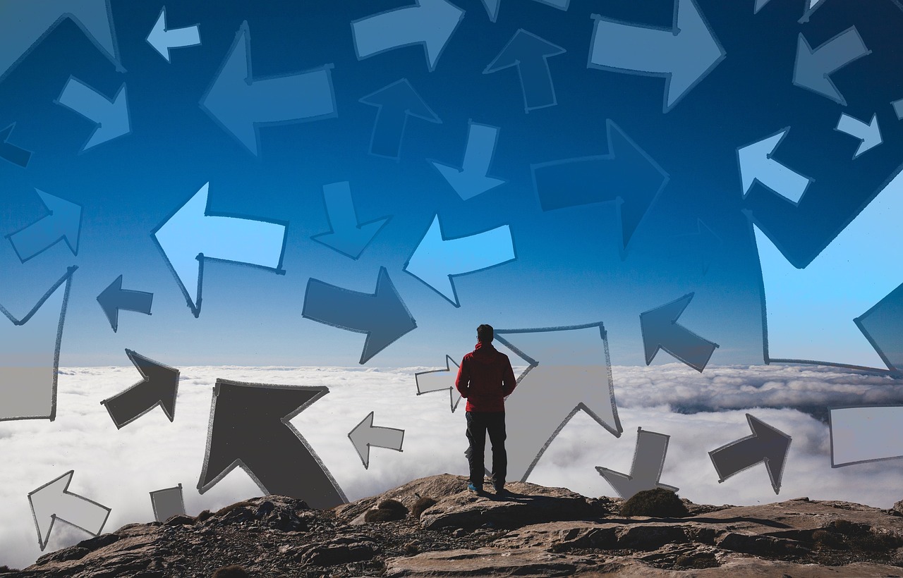 市场波动下的独特表现,刺猬行情观察