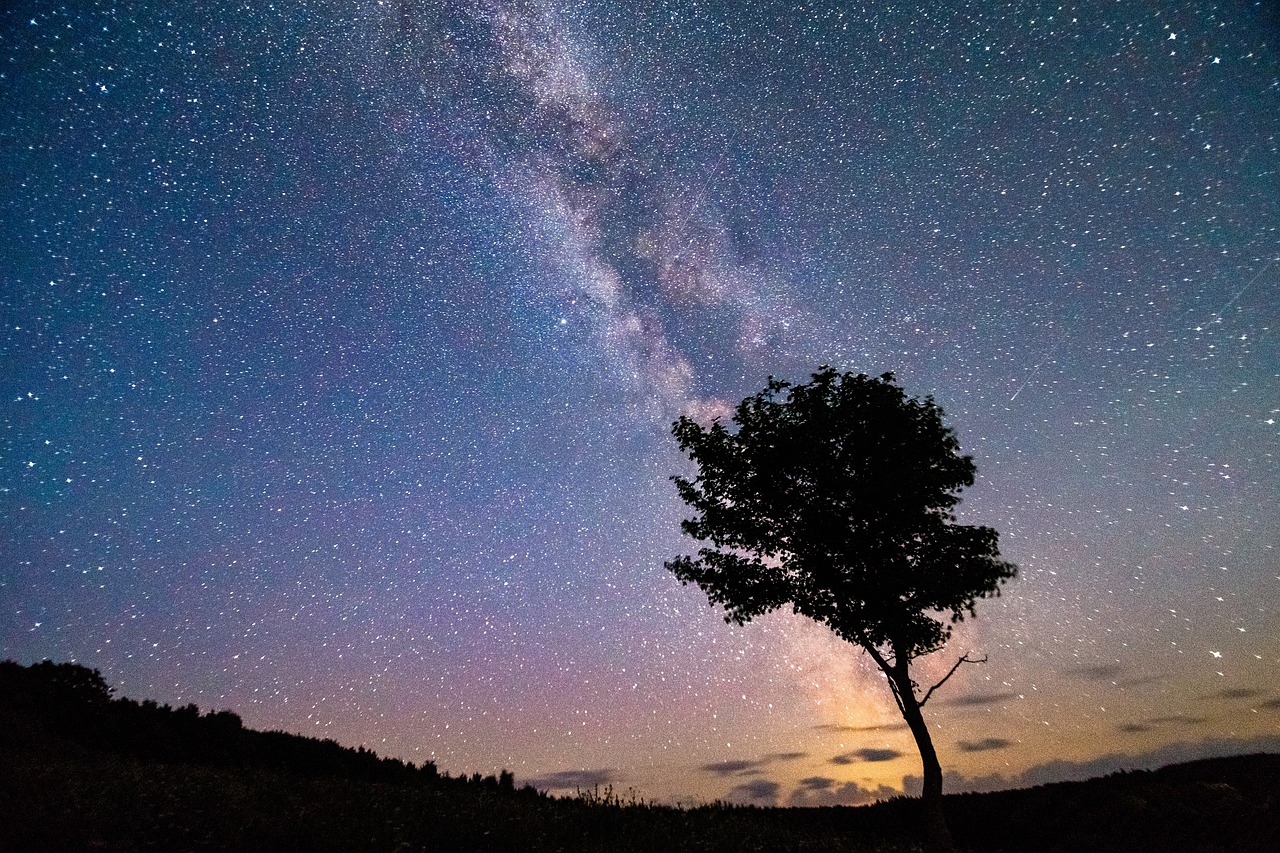 群星闪耀的水瓶座明星世界揭秘