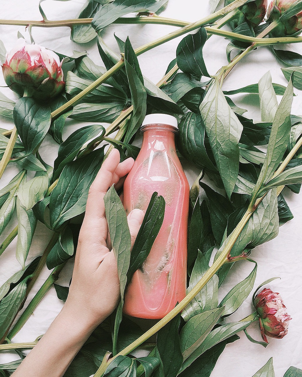 金华水果行情深度分析