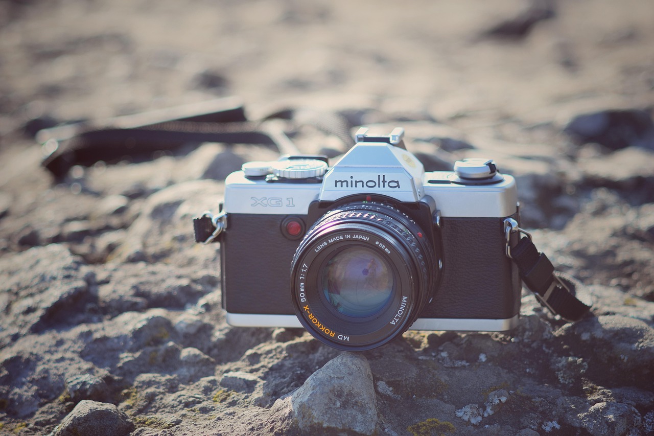 福建台风纳沙实时更新,最新动态报告