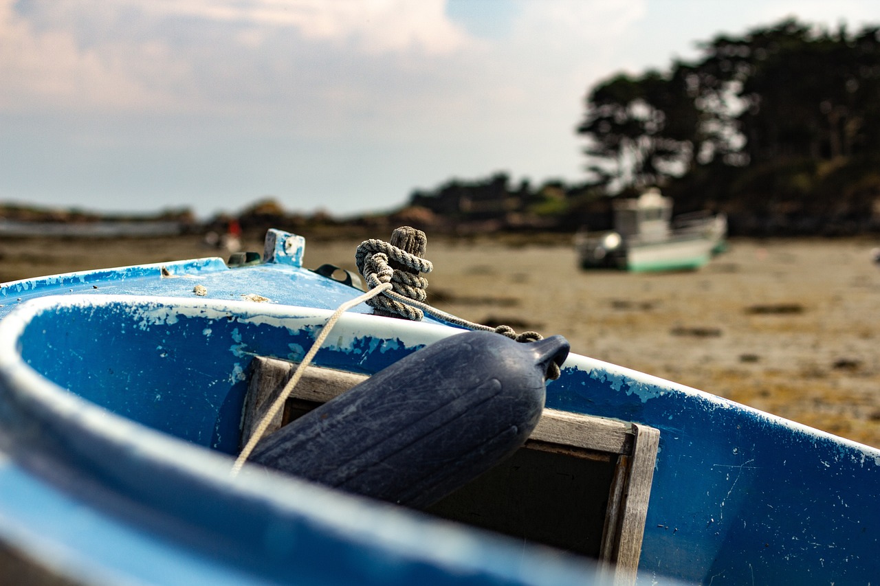 北京疫情最新动态,全面应对与积极防控的积极行动