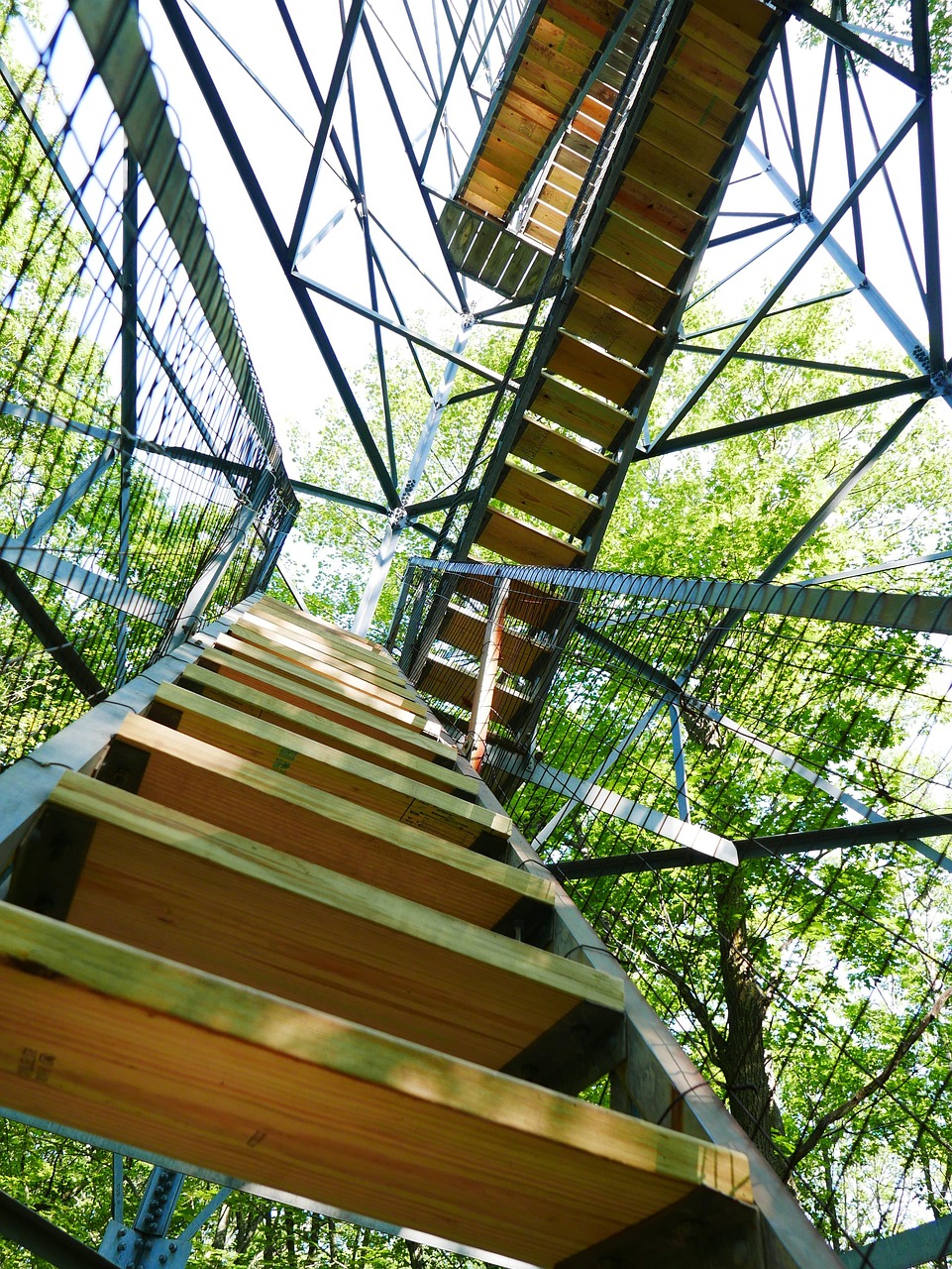 清苑最新招聘动态及职业发展机遇概览