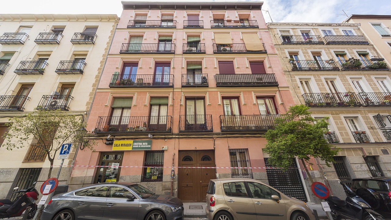 赵丽颖最新动态，璀璨星途，持续闪耀之旅