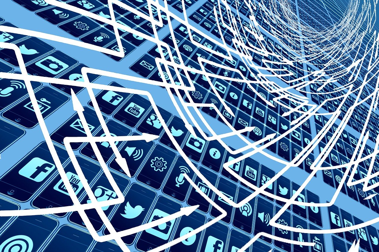 茄子行情走势深度分析,趋势预测与市场动态探讨