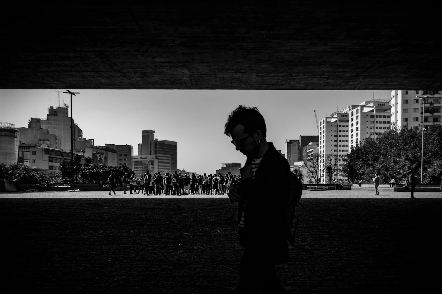 兄弟情深与图片动漫的魅力