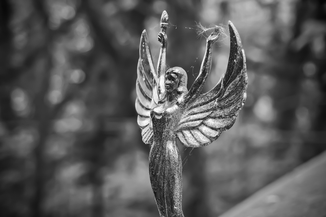 兄弟情深与图片动漫的魅力