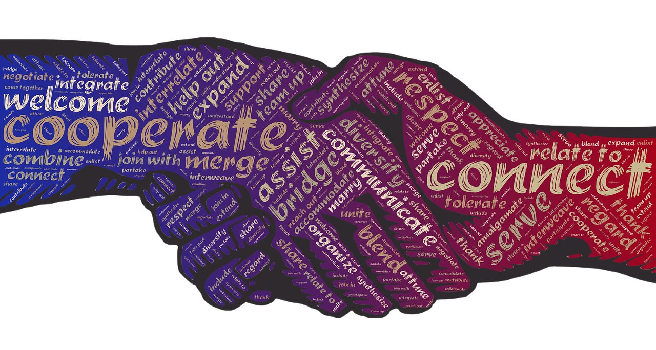 最新牛病动态研究,进展、影响与关注