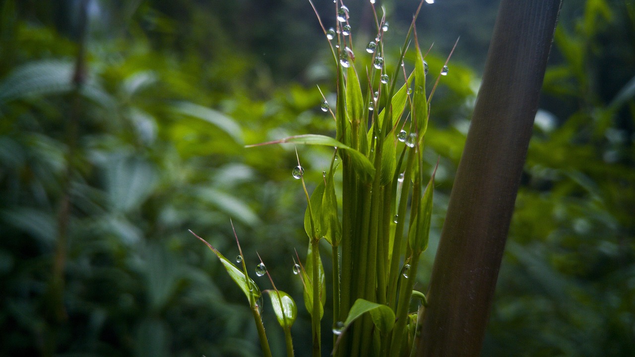 富士山最新动态,今日活动状况、观测数据及其影响综述