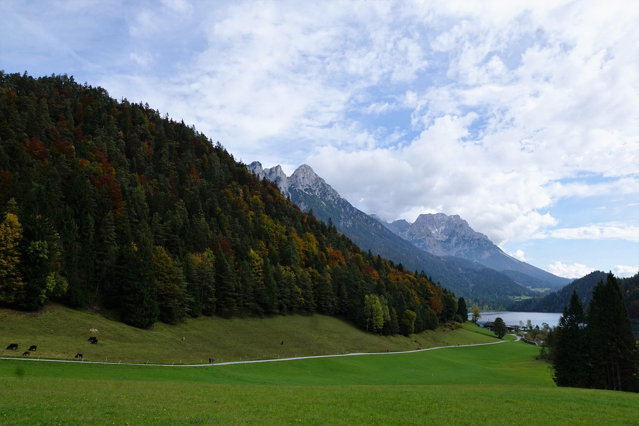 自然高山风景的视觉盛宴,最新高清视频素材欣赏