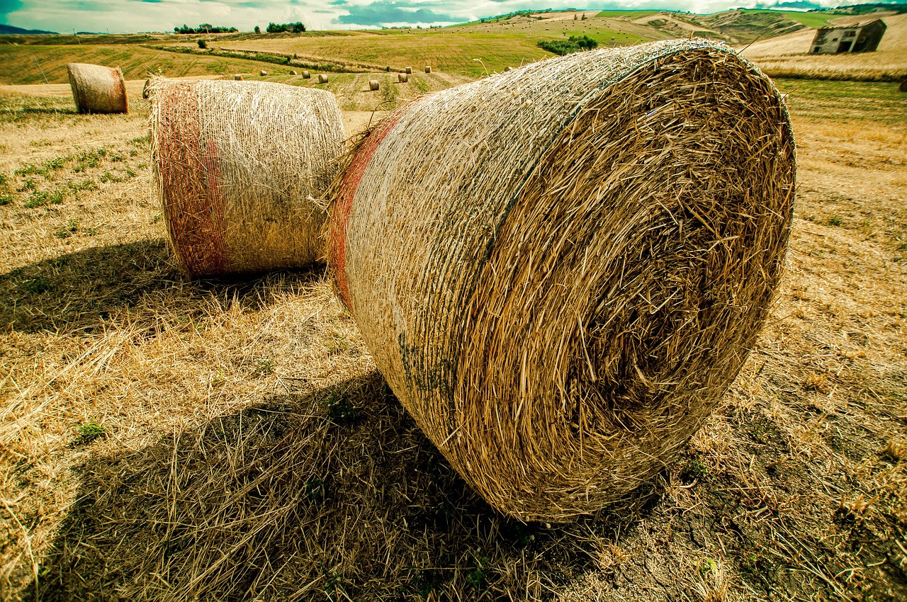 UCM摩根引领金融变革,最新资讯与前沿动态