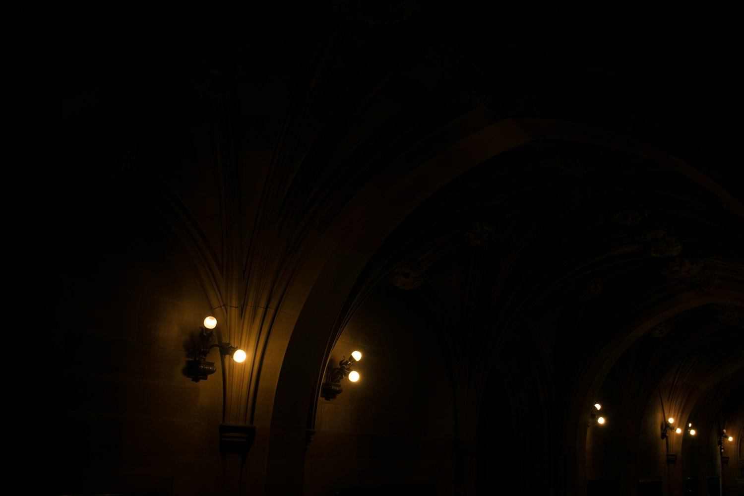 蚊子,从微小生物到银幕巨制的探索之旅