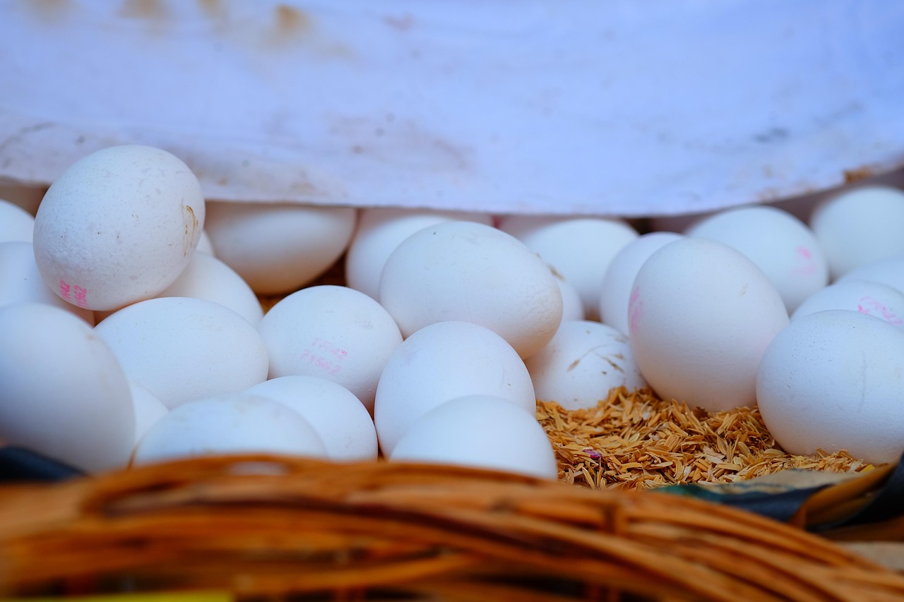 湛江最新猪肉价格动态分析与趋势预测