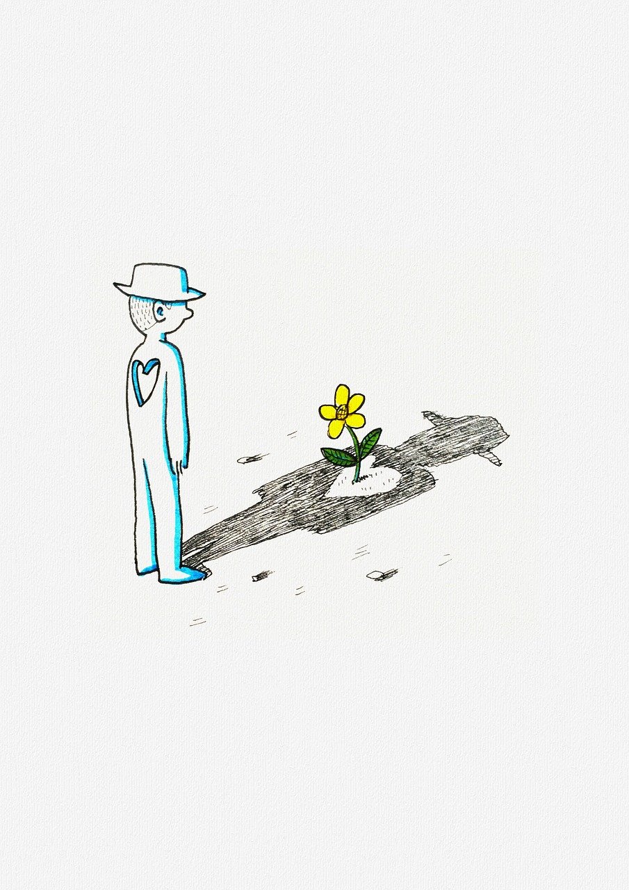 霍栀顾峻清最新更新动态,情感与命运的纠葛交织