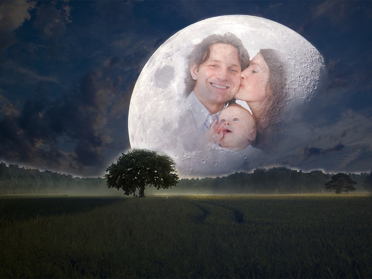 星梦之旅，追寻女明星小说的魅力与光彩之路