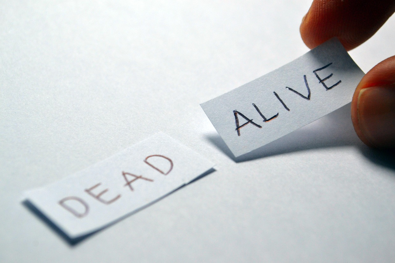 需求的价格弹性，商品需求量对价格变动的敏感程度解析