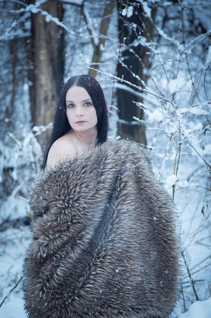 夫人慢走，章节更新与故事魅力揭秘