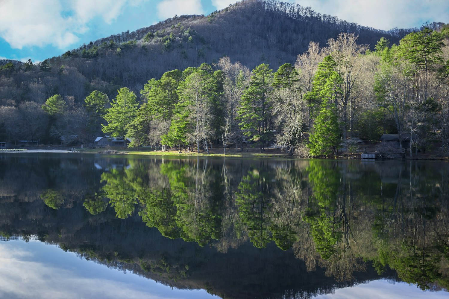 廊坊钓鱼最新动态揭秘,鱼乐之城魅力与机遇探索