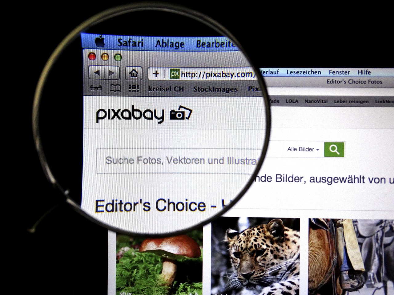 杨镇二手房最新价格概览及市场动态分析